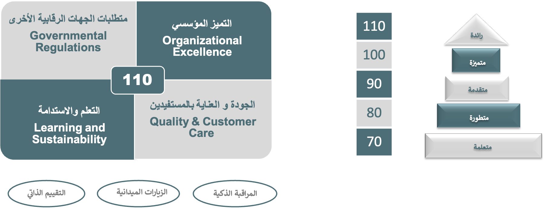 مشروع برنامج مقدمي الخدمات والرعاية الصحية وشركات التأمين